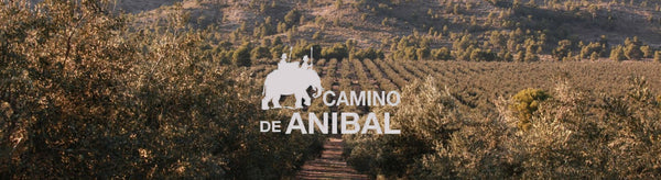 Camino de Aníbal en bogarwines.com